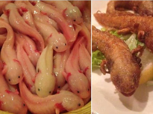 Restaurante en Japón ofrece ajolotes fritos en su menú y otros animales exóticos