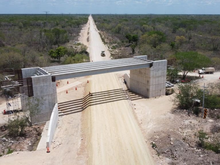 Estudios de impacto ambiental de Tren Maya, una simulación: Carlos Carabaña