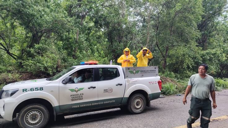 ¡Alerta Solsticio de Verano! La CFE Refuerza su Personal en Zonas Clave para Garantizar el Suministro Eléctrico