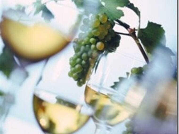 Vino blanco para acompañar la comida. Daniela Salgado, sommelier 18/05/13