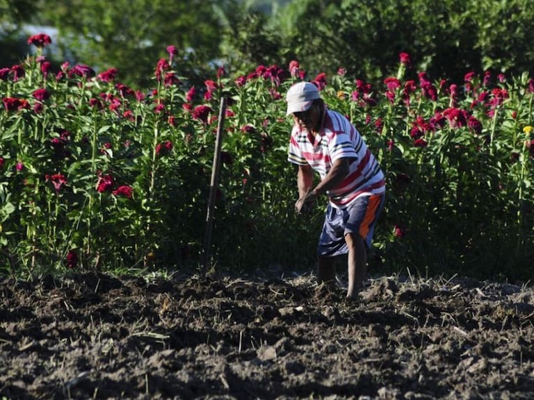 Erradicar “trabajo forzoso agrícola” fundamental en el marco del T-MEC