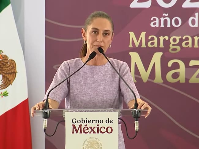 Activistas denuncian avances en ampliación del Puerto de Manzanillo y niegan filiación política
