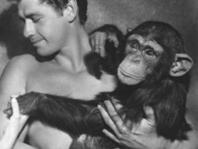 Muere ‘Chita’ a los 80 años en un refugio de animales en EU