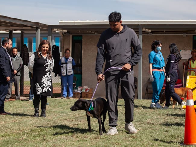 ¿Cómo están los perros del Refugio Franciscano? Clara Brugada visita albergue en la GAM