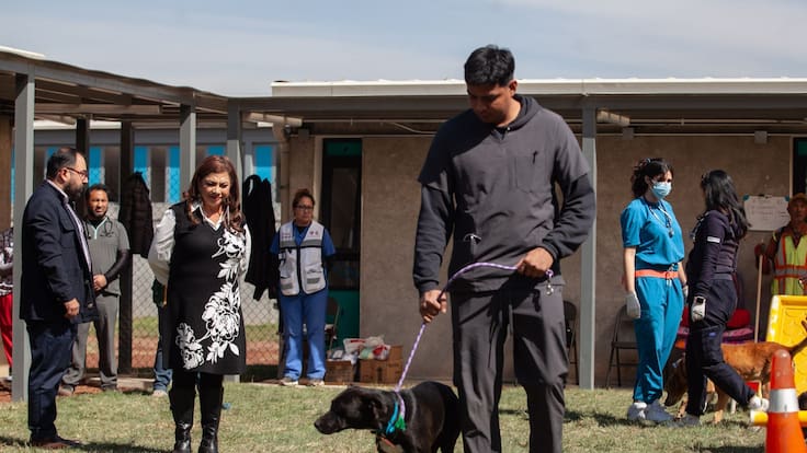 ¿Cómo están los perros del Refugio Franciscano? Clara Brugada visita albergue en la GAM