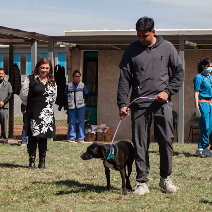 ¿Cómo están los perros del Refugio Franciscano? Clara Brugada visita albergue en la GAM
