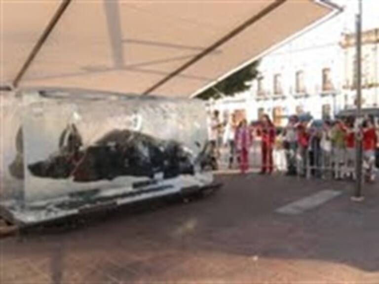 Gigantes invaden Guadalajara