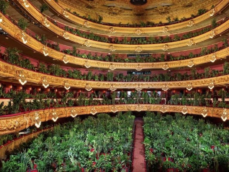Concierto para plantas; así abre el Liceu de Barcelona con 2 mil asistentes