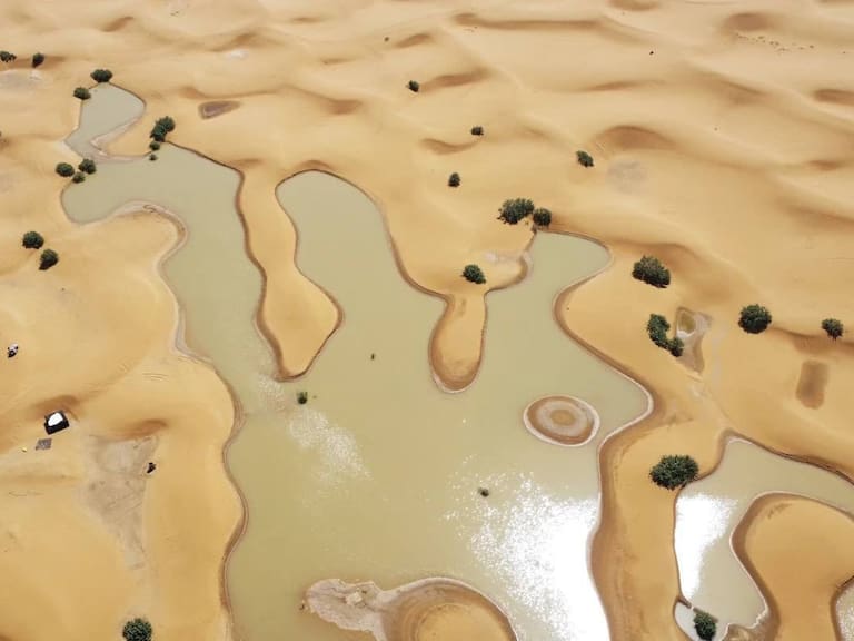 Entre las dunas del Sahara se formaron lagunas por las inundaciones.