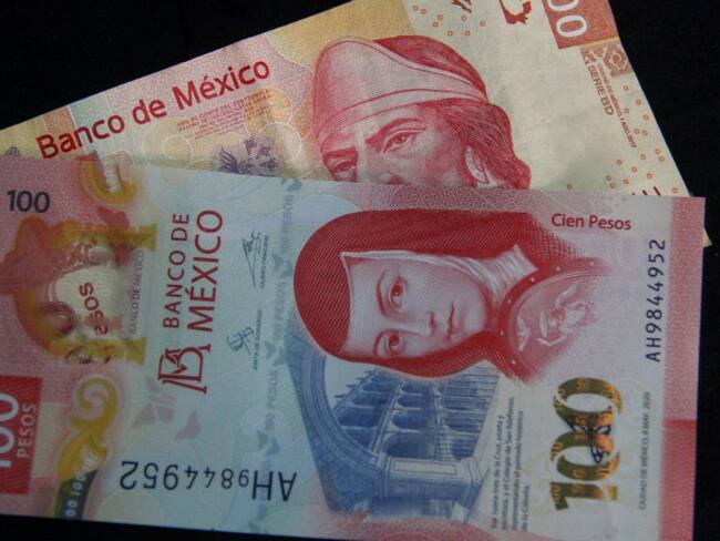 Sin remesas caída del consumo sería mayor: Banxico