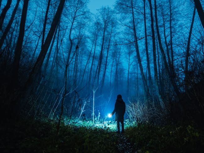 Maratón de terror para Halloween: películas que te harán esconderte detrás de la cobija