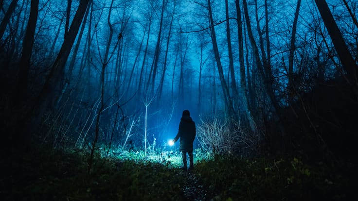 Maratón de terror para Halloween: películas que te harán esconderte detrás de la cobija