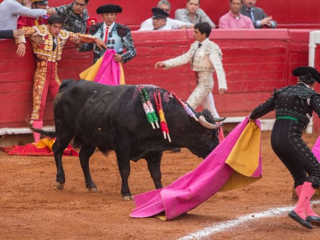 ¿Qué pasaría si se cancelan las corridas de toros en México?