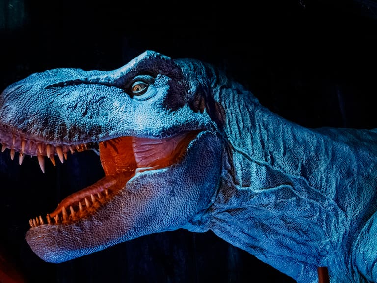 COLOGNE, GERMANY - MARCH 30: A robot dinosaur is seen at the "Jurassic World: The Exhibition" Press Preview at Odysseum on March 30, 2023 in Cologne, Germany. (Photo by Joshua Sammer/Getty Images)