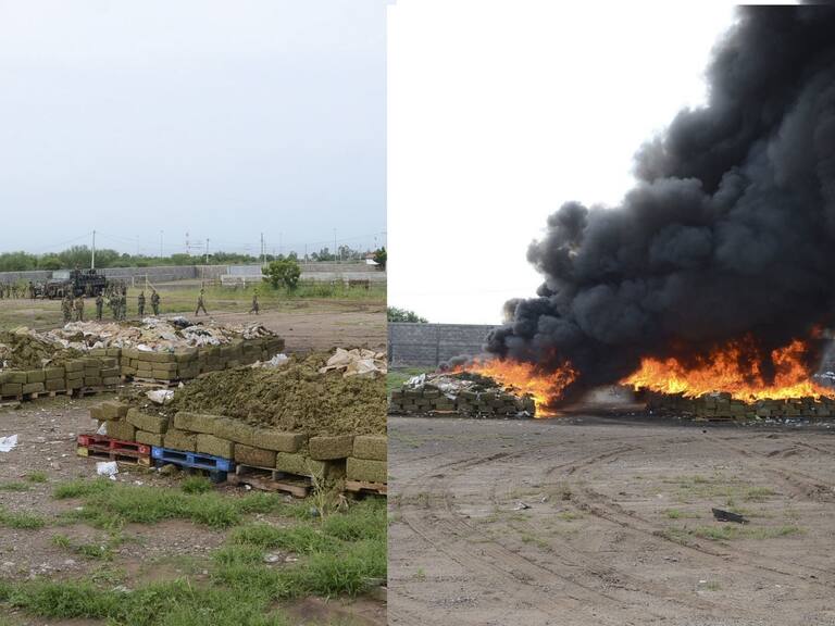 INAI ordenó a Sedena dar a conocer la lista de personal participante en eliminación de cultivos nocivos para la salud.