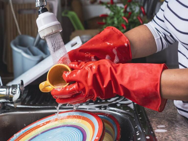 Trabajadoras del hogar continúan sin seguridad social: Marcelina Bautista