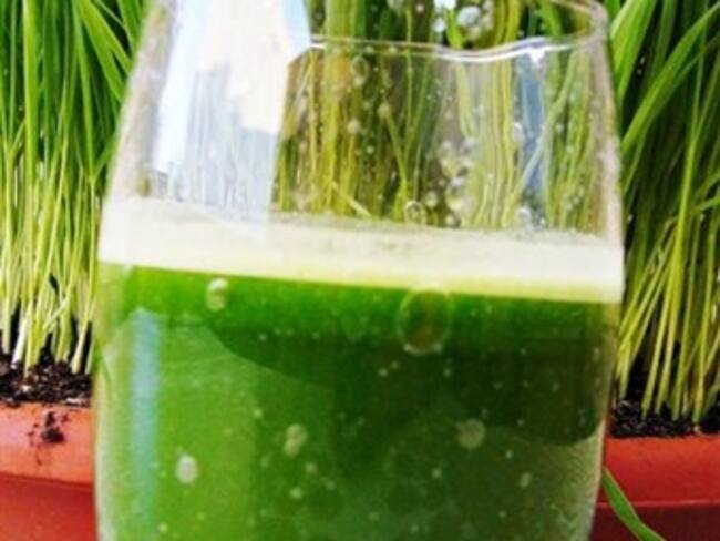 Medicina alternativa: ¿Cómo aumentar los glóbulos rojos y plaquetas?