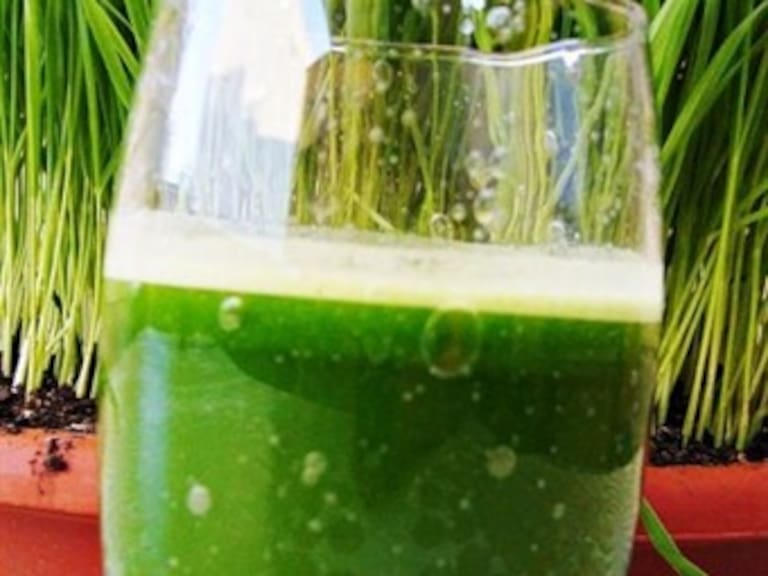 Medicina alternativa: ¿Cómo aumentar los glóbulos rojos y plaquetas?