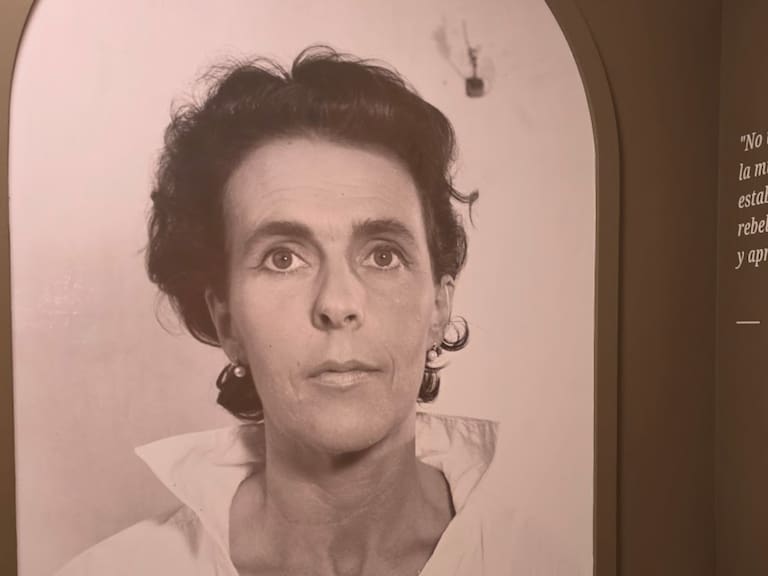 Leonora Carrington: Laberinto Mágico. Primeras impresiones de un viaje que nos lleva al corazón del surrealismo