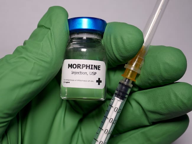 Con producción de morfina, diputado propone convertir a Sinaloa en potencia mundial