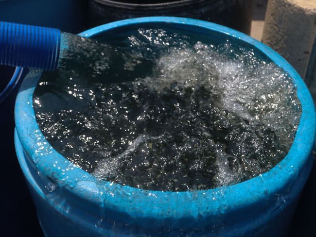 Prevén desabasto de agua; “estamos viviendo una sequía histórica”: Sacmex