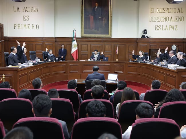 Datos judiciales al alcance de todos: La SCJN estrena nuevo portal