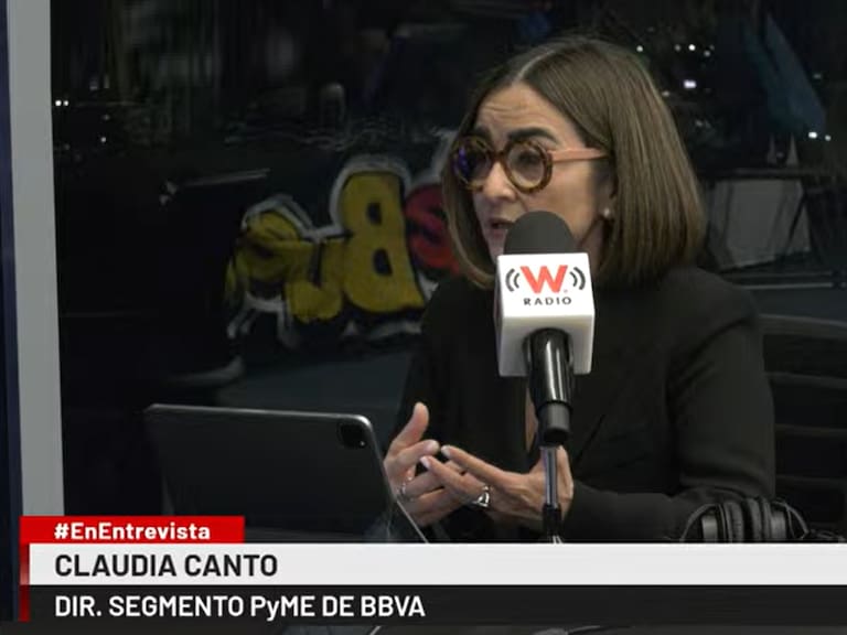 El Segmento Pyme es el motor de la economía en México: existen 5.8 millones de pymes, pero apenas 30% está bancarizado, afirmó la directora de segmento pyme de BBVA, Claudia Canto.
