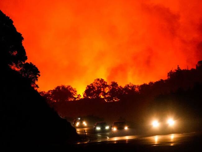 Pareja quería revelar el sexo de su bebé, pero termina provocando incendio