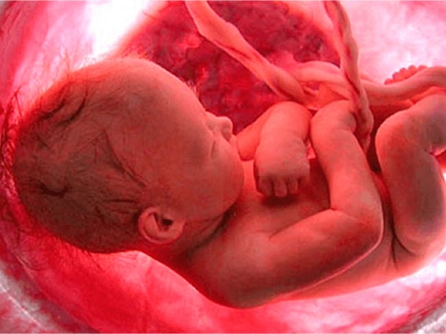 Pide Iglesia católica no usar caso de abandono de recién nacido en una bolsa para promover el aborto