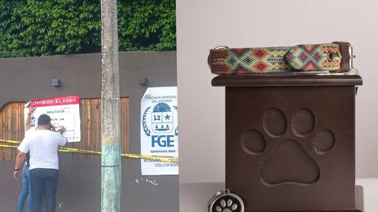 Pagan por incinerar a sus mascotas y crematorio Xibalbá les entregó tierra en Chetumal: Hallaron los cuerpos en baldíos