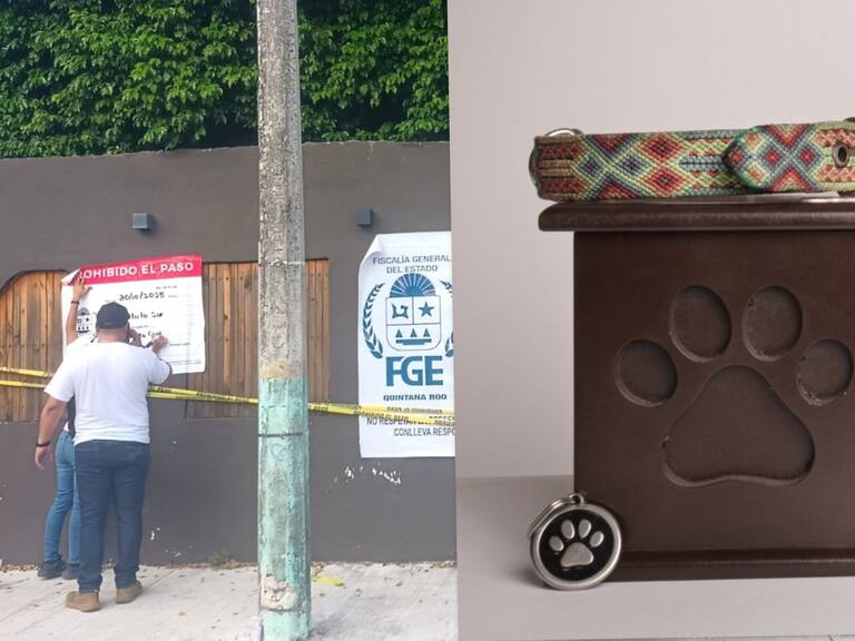 El crematorio de mascotas Xibalbá de Chetumal entregó urnas con tierra a los tutores y tiró los cuerpos de 150 perros y gatos a terrenos baldíos.