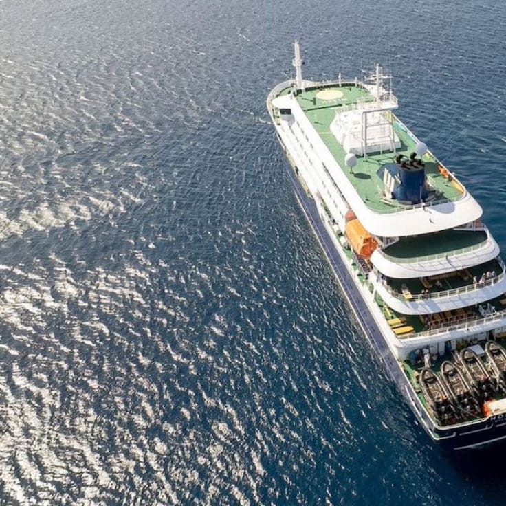 Hantavirus: ¿Qué es y cómo se contagiaron los 3 pasajeros que murieron mientras vacacionaban en un crucero en el Atlántico?