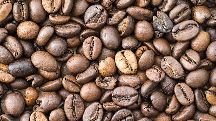 Cultivos de café de Latinoamérica corren peligro por cambio climático