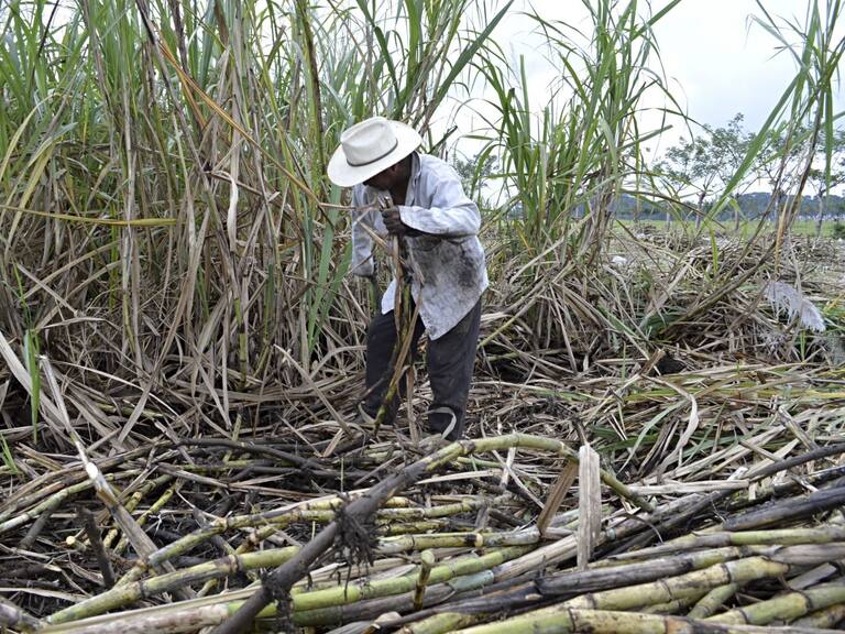 Agroindustria de la caña de azúcar agradeció modificaciones a los aranceles a la importación de azúcar al 156 por ciento.
