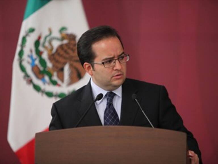 Confirma Poiré a 14 detenidos por fosas en Tamaulipas