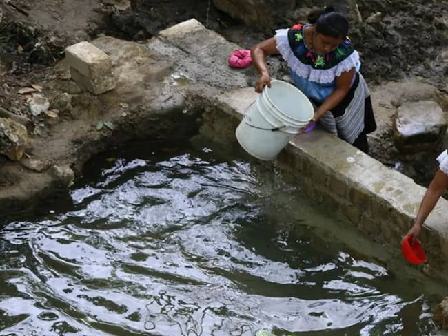 Buscaban agua para su comunidad y terminaron multadas con 55 mil pesos: el caso de mujeres tzeltales en Chiapas