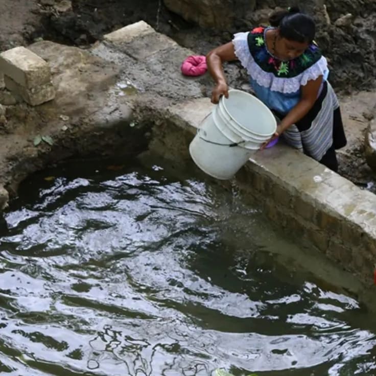 Buscaban agua para su comunidad y terminaron multadas con 55 mil pesos: el caso de mujeres tzeltales en Chiapas