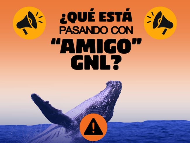 Importante la intervención de la Presidenta Sheinbaum y de la titular de la Semarnat para detener el Proyecto Amigo GNL: Nora Cabrera