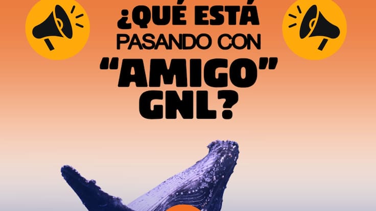 Importante la intervención de la Presidenta Sheinbaum y de la titular de la Semarnat para detener el Proyecto Amigo GNL: Nora Cabrera
