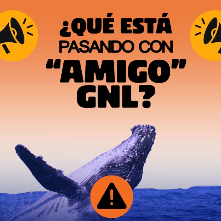 Importante la intervención de la Presidenta Sheinbaum y de la titular de la Semarnat para detener el Proyecto Amigo GNL: Nora Cabrera