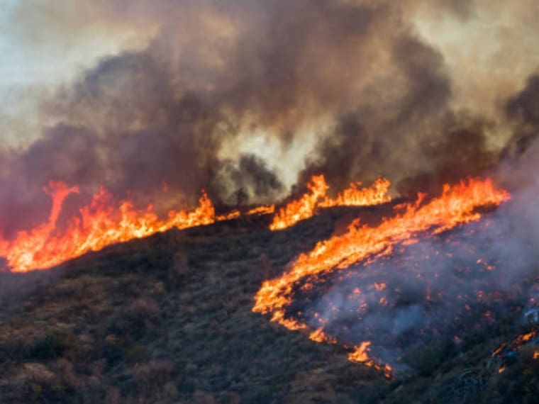 Lo que debemos saber sobre los incendios forestales