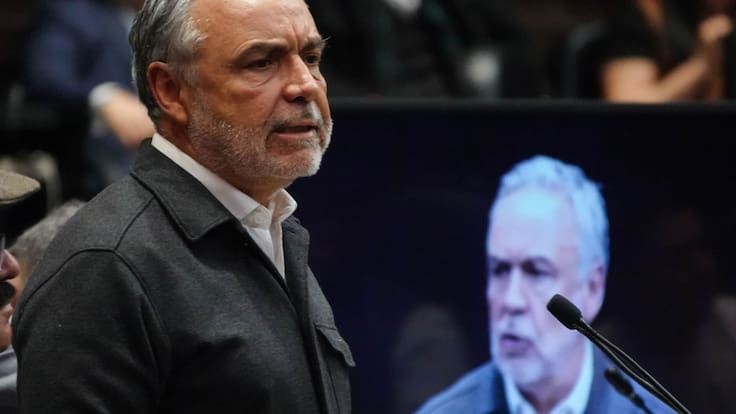 Morena pide cárcel para Guadalupe Taddei por presunta corrupción en el INE
