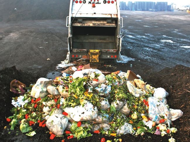 ¿Sabías que un tercio de los alimentos producidos para el consumo humano se desperdicia?