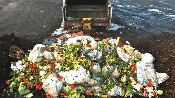 ¿Sabías que un tercio de los alimentos producidos para el consumo humano se desperdicia?