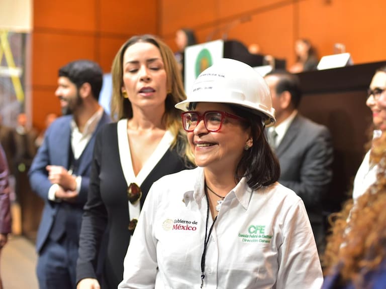 CFE pilar estratégico de la soberanía nacional y garante de mantener los recursos energéticos en las manos del pueblo de México: Emilia Calleja