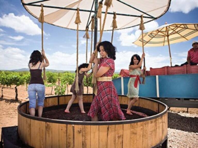 Comienza la Fiesta de la Vendimia en Querétaro