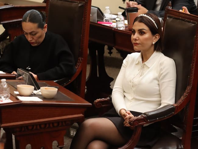 ¿Diputado por un día? Legisladora causa controversia con convocatoria a ciudadanos