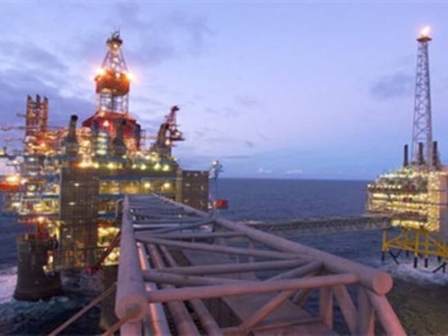 "Día Mundial de los Derechos de los Animales". "Así las Cosas" del 10 de diciembre