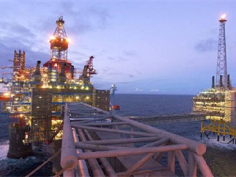 "Día Mundial de los Derechos de los Animales". "Así las Cosas" del 10 de diciembre