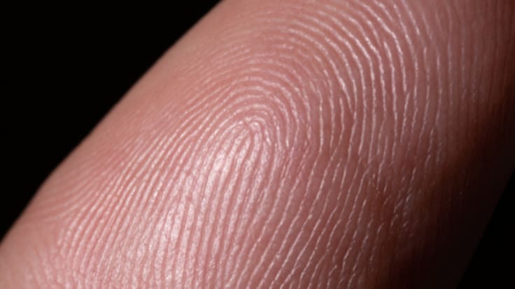 CURP biométrica en 2026: ¿Dónde están los módulos en Mérida y cómo sacarla en Yucatán?